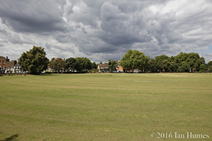 The Cricketers Pub Existing View