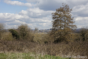 Student Castle existing View