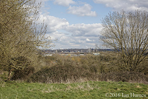 Student Castle existing View