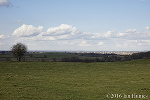 Student Castle existing View