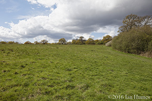 116 Cockfosters Road Existing View