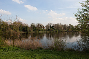 Highgate #1 Pond Existing View