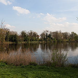 Highgate #1 Pond Existing View